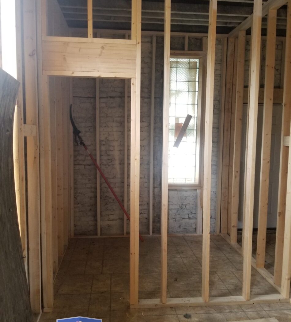 2 x 4 standared framed 00