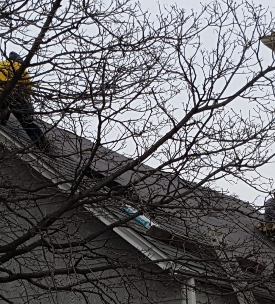 Shingle roof installation10 Shingle Installation