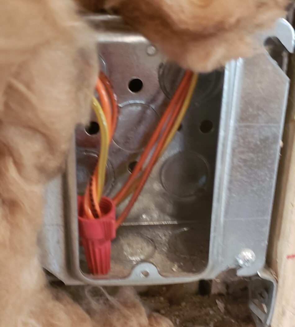 phase II pulling wires eletrical1
