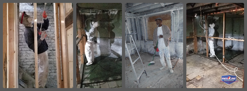 Fire damage & Mold protection